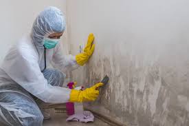 Asbestos and Lead Testing During Mold Inspection in Lynchburg, OH